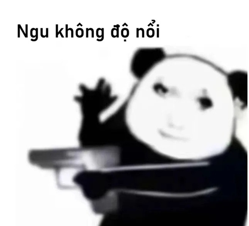 meme ngu 26