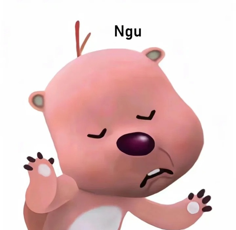 meme ngu 27