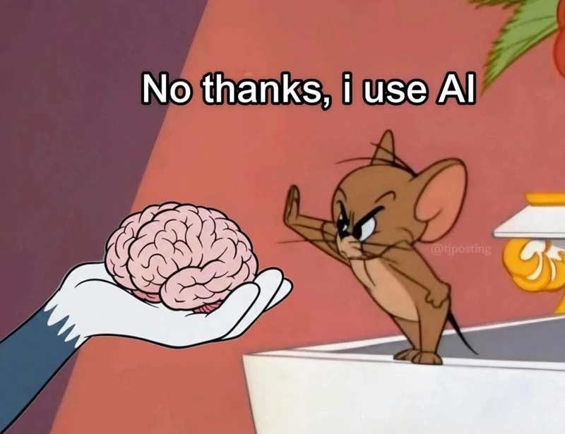 meme ngu 28