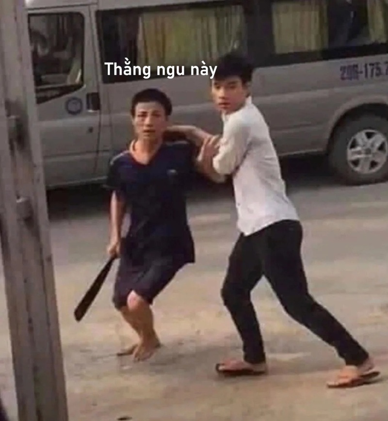meme ngu 29