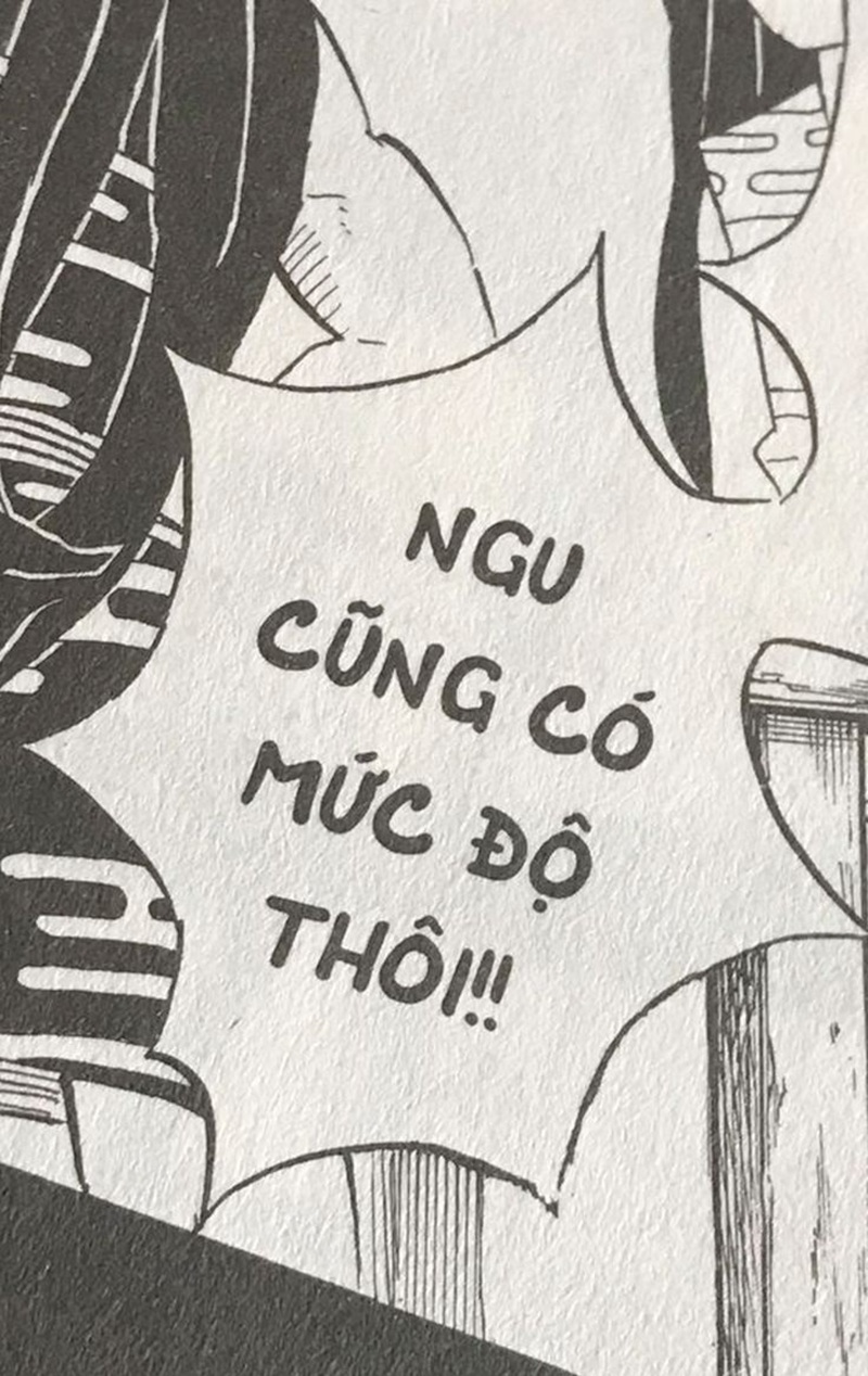 meme ngu 3