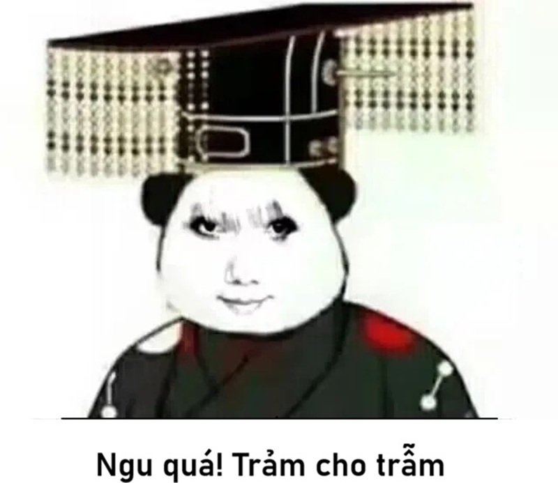 meme ngu 34