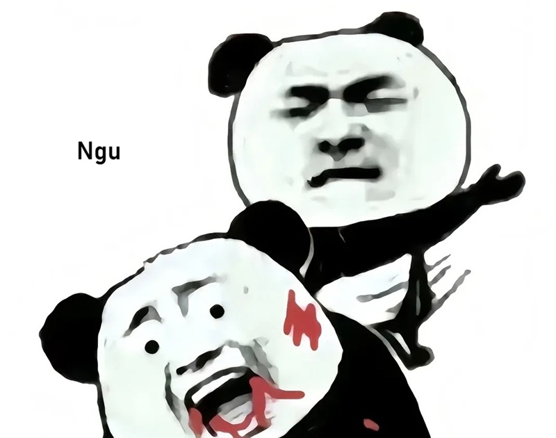 meme ngu 35