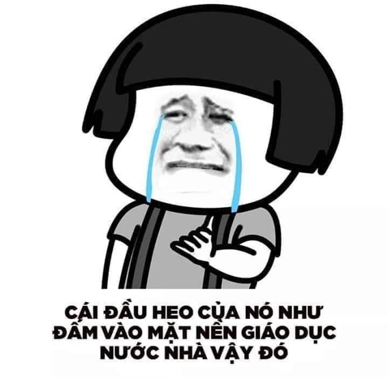 meme ngu 4