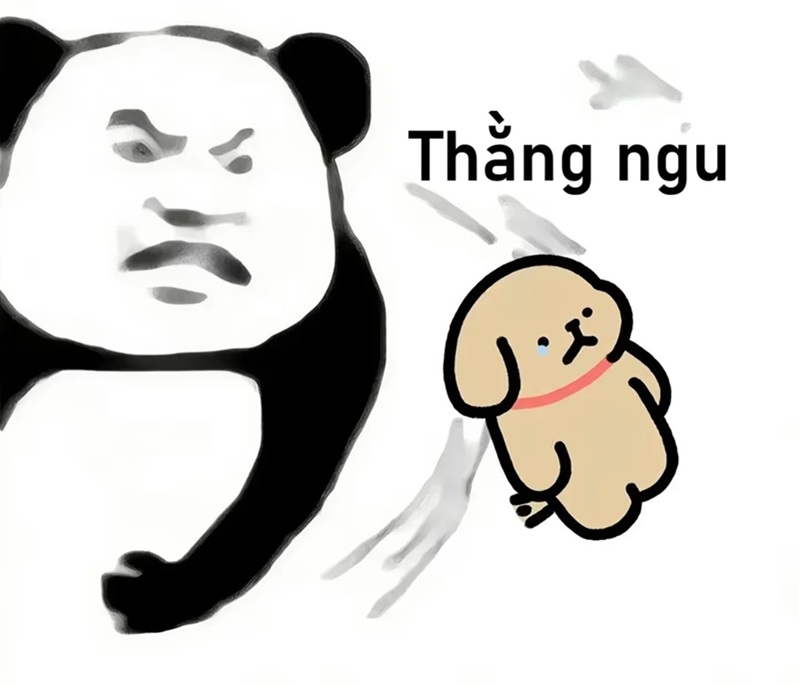 meme ngu 5