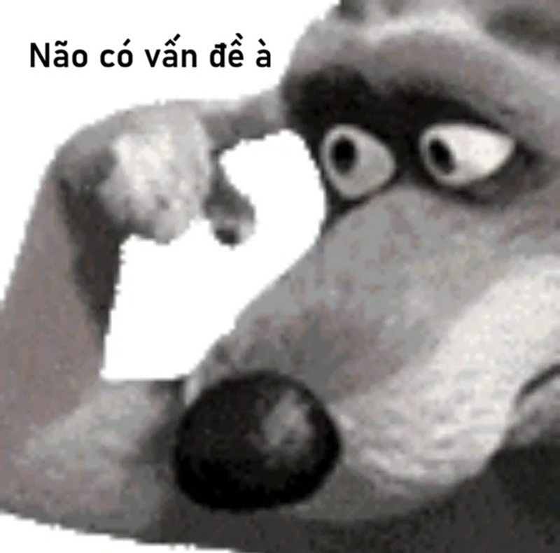 meme ngu 6