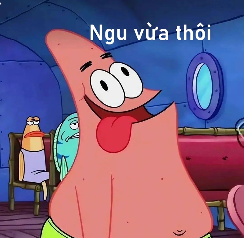 meme ngu 7