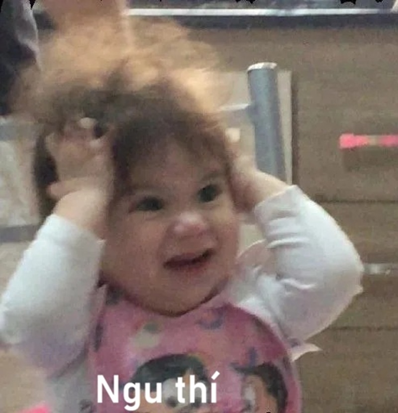 meme ngu 9