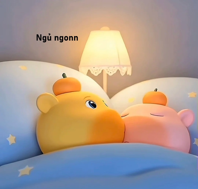 meme ngủ ngon 11