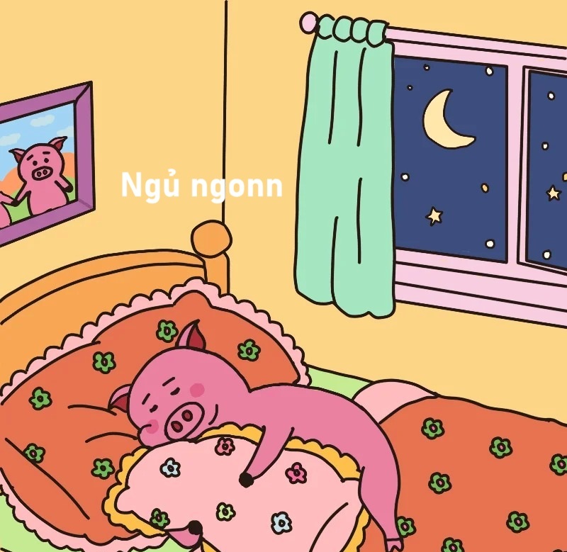 meme ngủ ngon 12