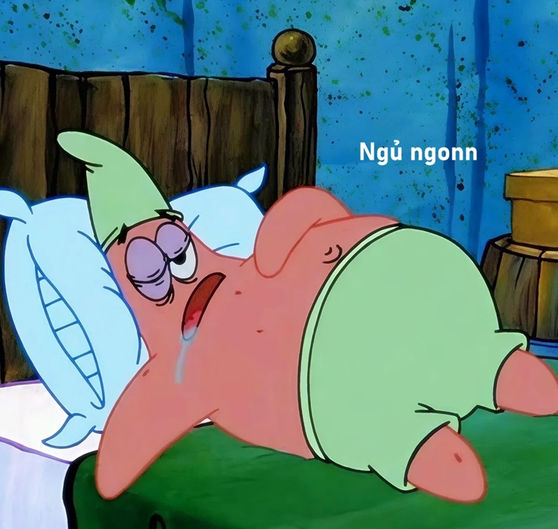 meme ngủ ngon 16