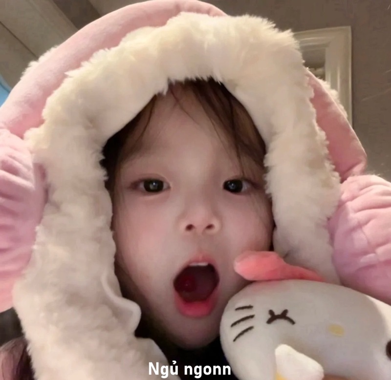 meme ngủ ngon 17
