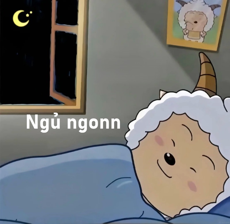 meme ngủ ngon 18