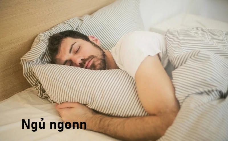 meme ngủ ngon 2