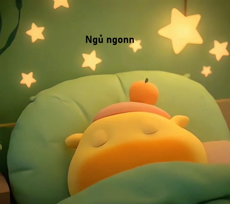 meme ngủ ngon 20
