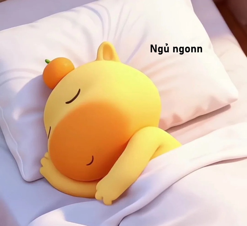 meme ngủ ngon 22