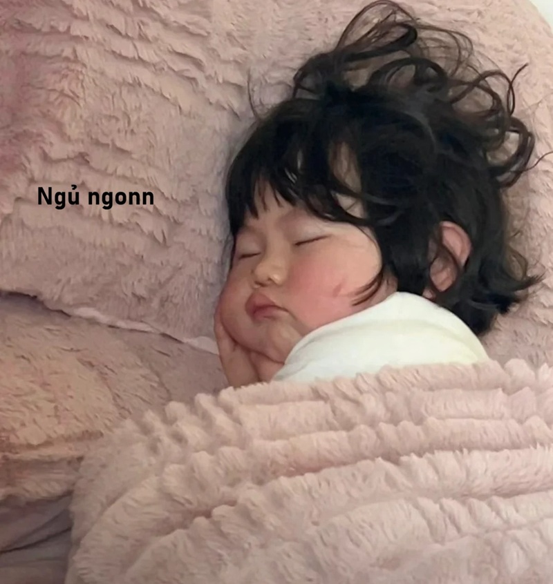 meme ngủ ngon 24
