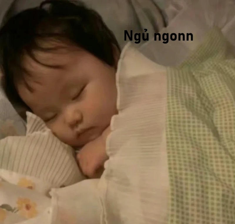 meme ngủ ngon 25