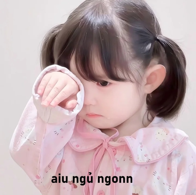 meme ngủ ngon 27