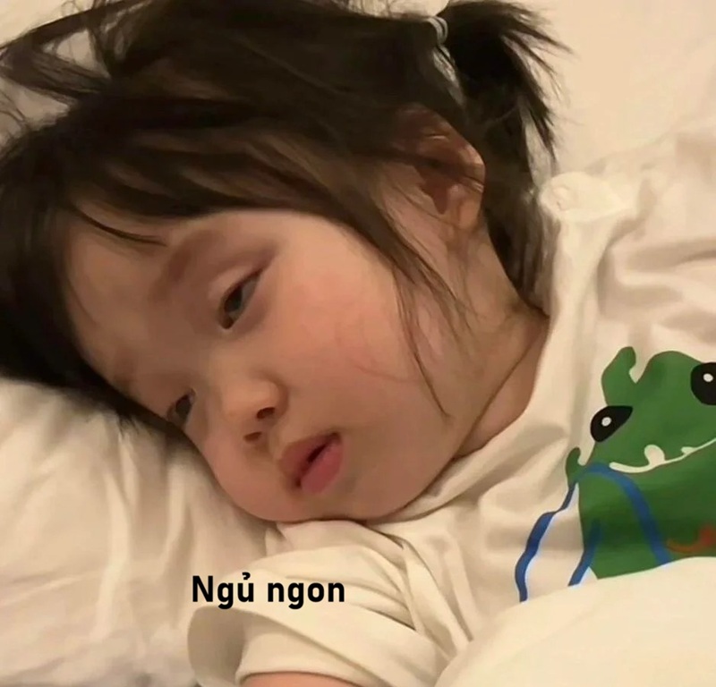 meme ngủ ngon 29