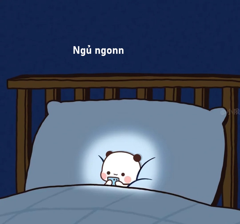meme ngủ ngon 30