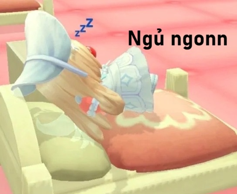 meme ngủ ngon 31