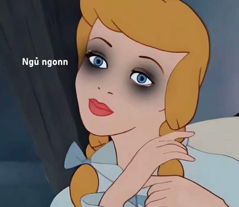 meme ngủ ngon 34