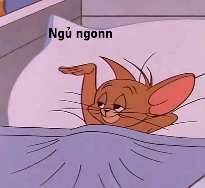meme ngủ ngon 36