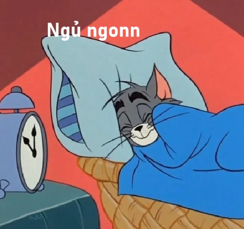meme ngủ ngon 37