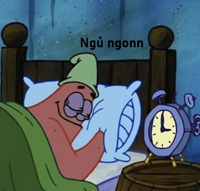meme ngủ ngon 38