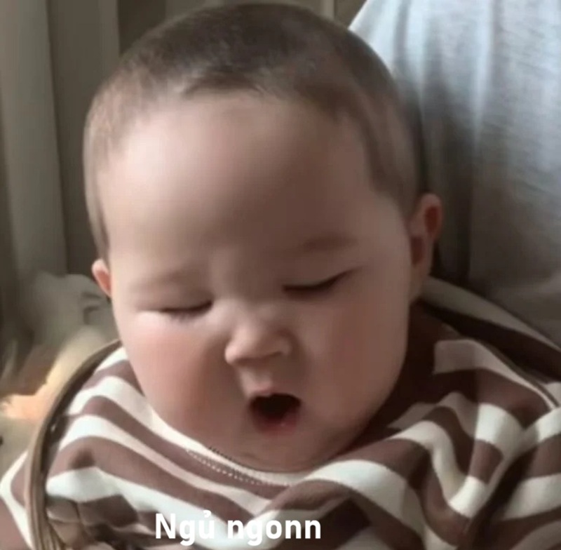 meme ngủ ngon 4