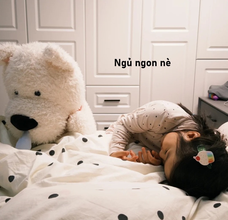 meme ngủ ngon 5