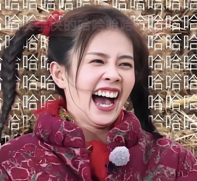 meme người 29