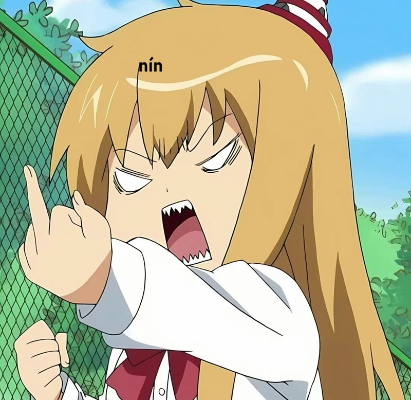 meme nín 13