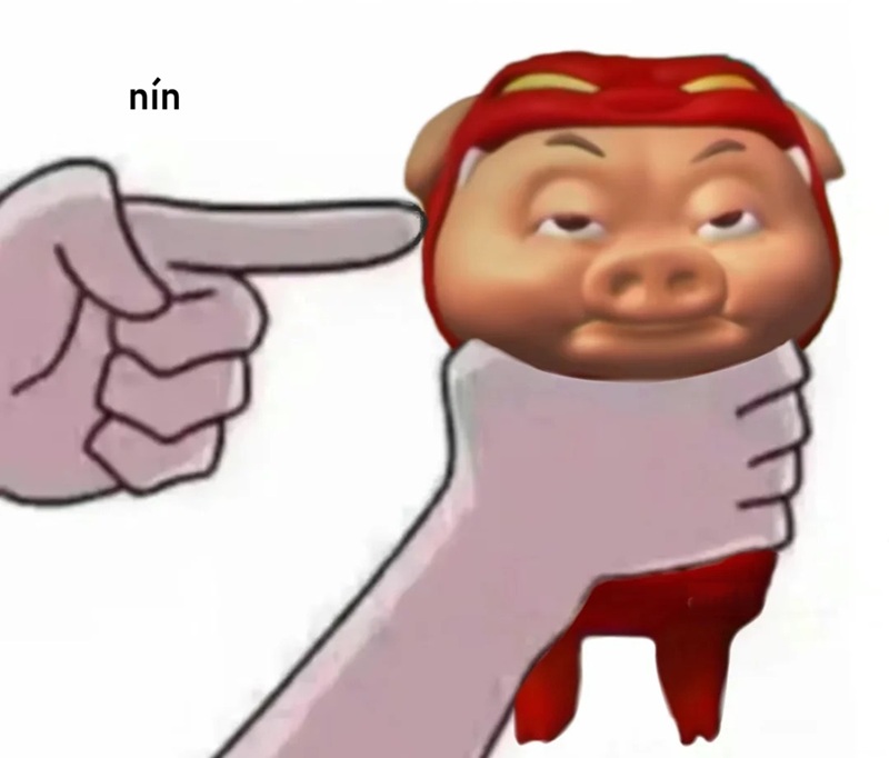 meme nín 23