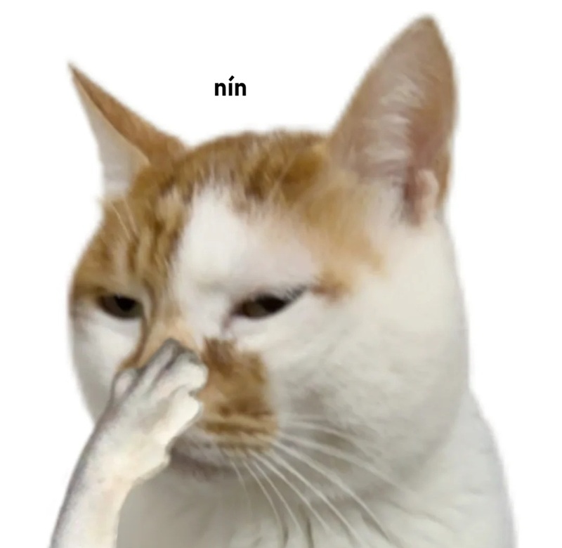 meme nín 24