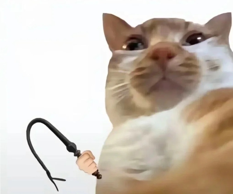 meme nín 27