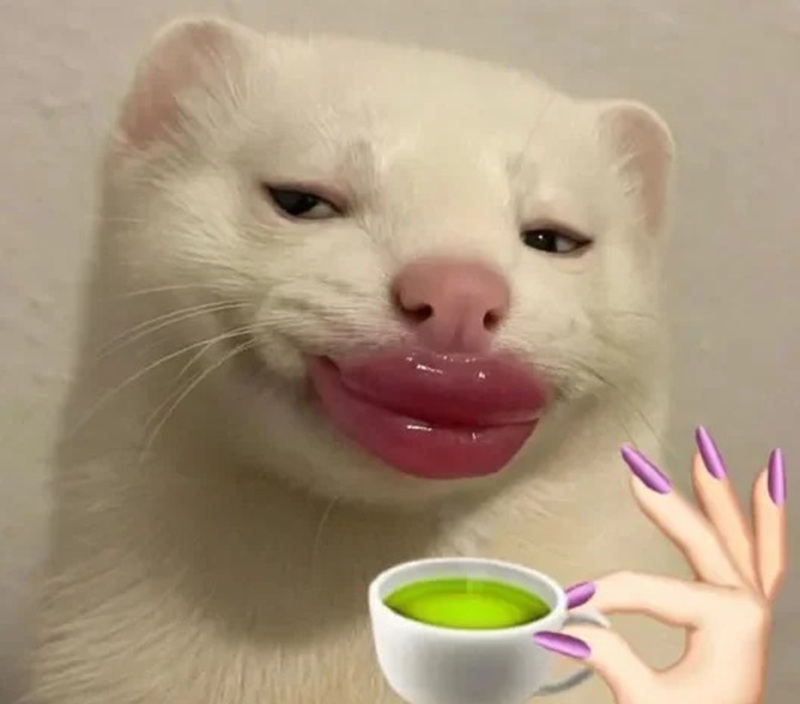 meme ok 37