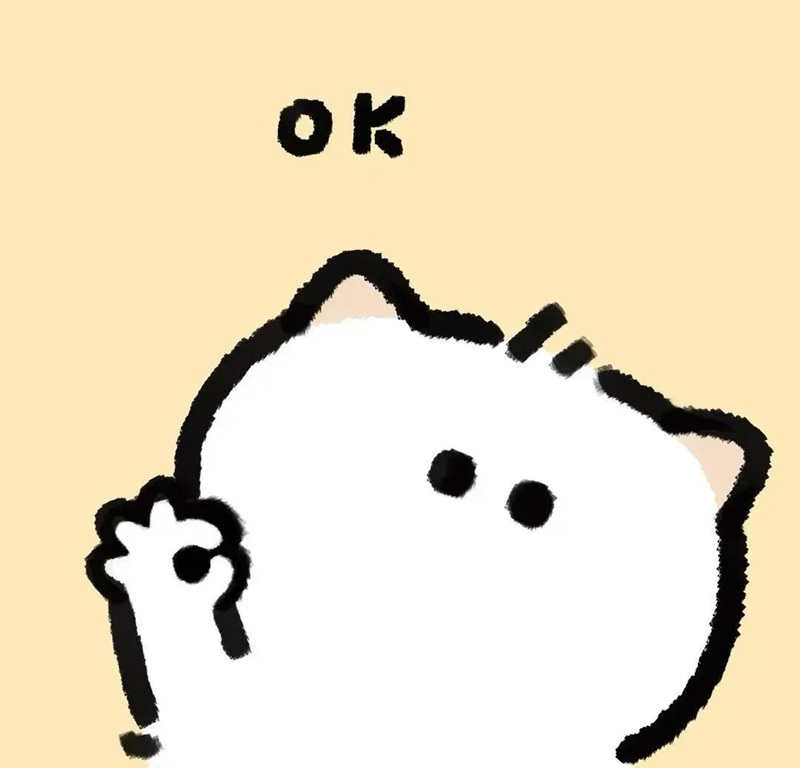 meme ok 6