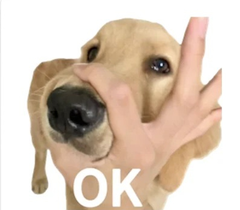 meme ok 7