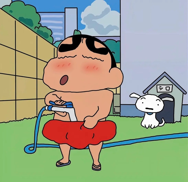 meme shin 5