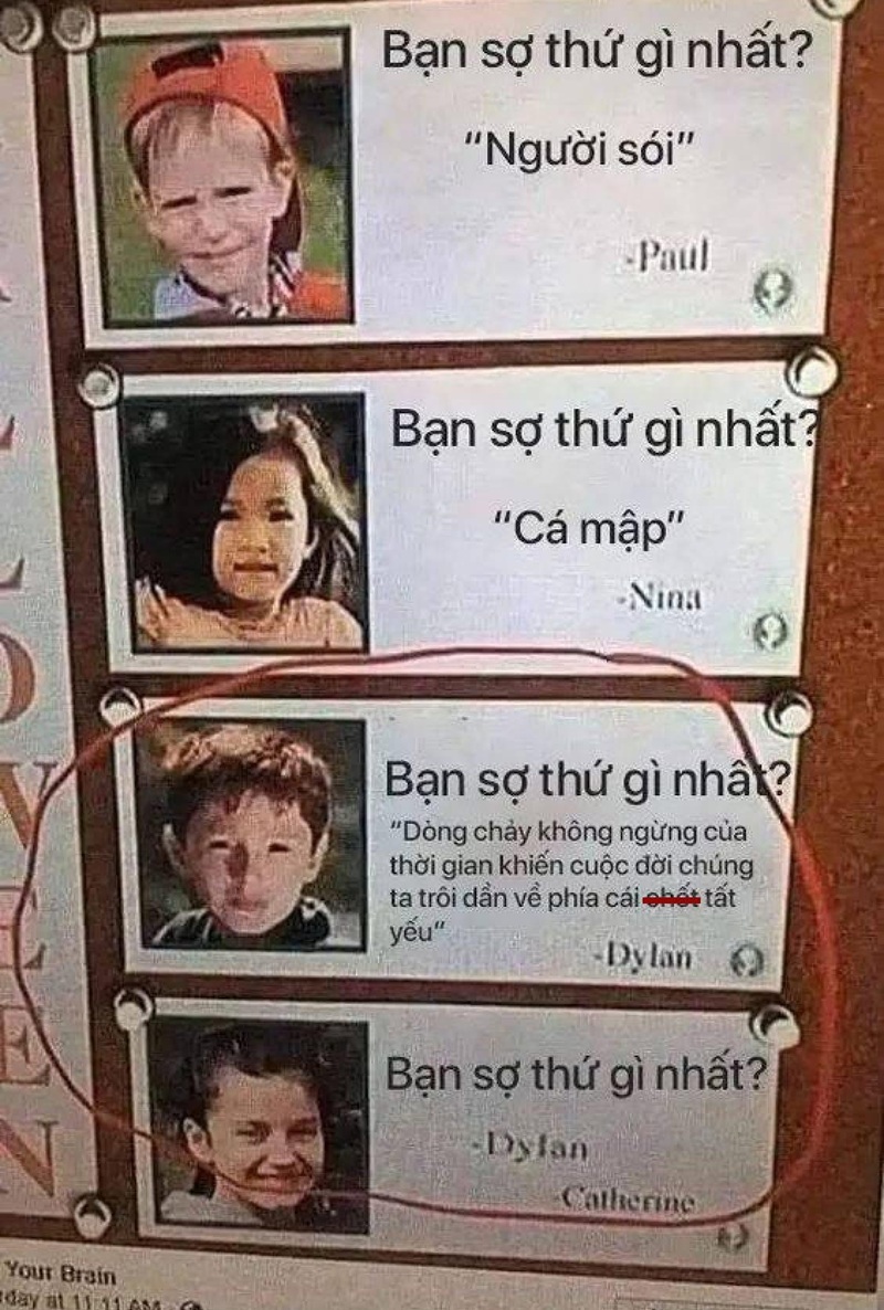 meme sợ 1