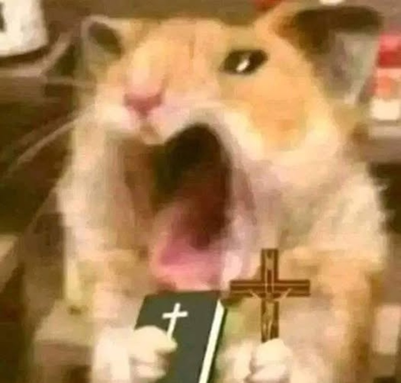 meme sợ 2