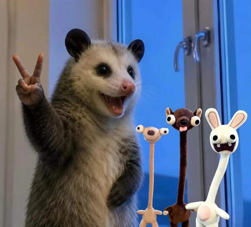 meme sốc 16
