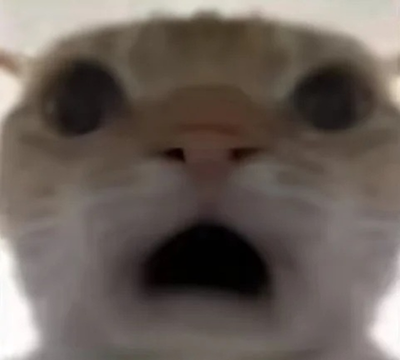 meme sốc 20