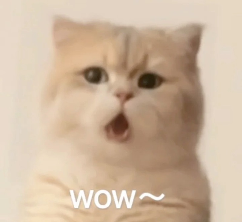 meme sốc 22