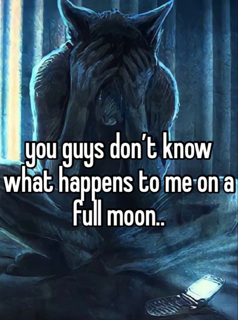 meme sói cô độc 11