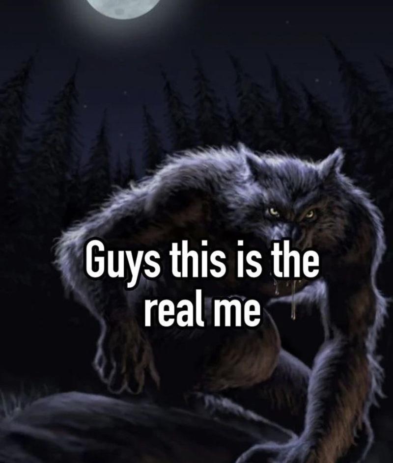 meme sói cô độc 12