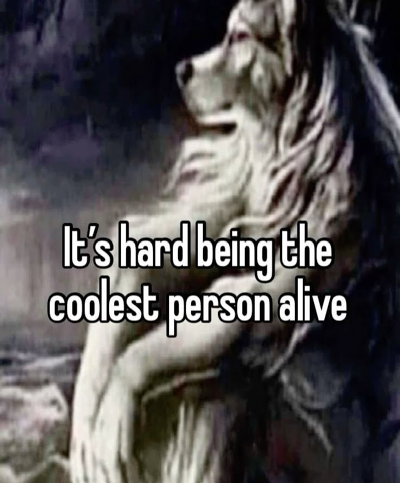 meme sói cô độc 13