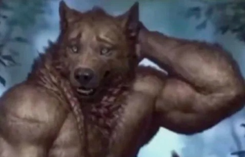 meme sói cô độc 25